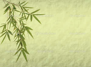 竹葉在帶紋理的綠色背景上 — 竹子 壁紙