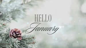 結霜的松樹枝條和松果，以及「Hello January」文字。 — 新年快樂 壁紙