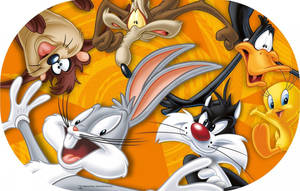 一組 Looney Tunes 卡通角色在橙色背景上以動態姿勢呈現。 — 樂一通 壁紙