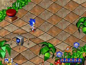 Sonic the Hedgehog在有戒指和植物的電子遊戲關卡中奔跑。 — 超級索尼克 壁紙