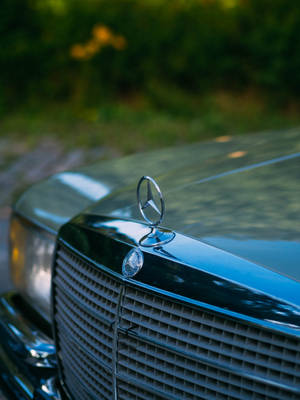 經典Mercedes-Benz引擎蓋標誌的特寫，帶有鍍鉻格柵和綠色樹葉背景。 — Mercedes-Benz 壁紙