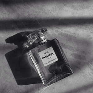 Chanel No 5香水瓶放在有紋理的布料上，帶有強烈陰影。 — 灰色美學動圖 壁紙