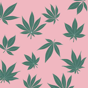 粉紅色背景上的綠色楓葉圖案 — 粉彩色粉紅 壁紙