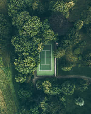 網球圖片 — 羽球 壁紙