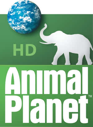 Animal Planet HD 標誌，白色大象和藍色地球儀在綠色背景上。 — 動物星球 壁紙
