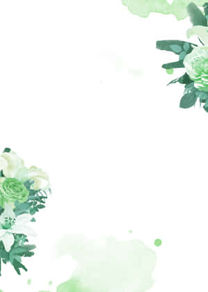 綠色花卉水彩背景 — 綠色花卉 壁紙