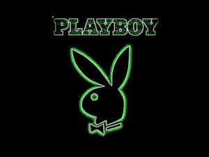黑色背景上帶有文字的綠色霓虹燈Playboy兔子標誌。 — 花花公子 GIF 壁紙