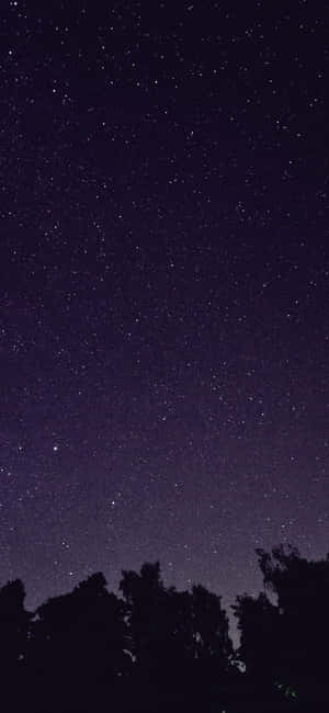 星空下黑暗的樹木剪影。 — iPhone 16 Pro 壁紙