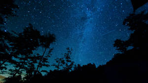 繁星點點的夜空，流星劃過樹木剪影 — 星星 壁紙