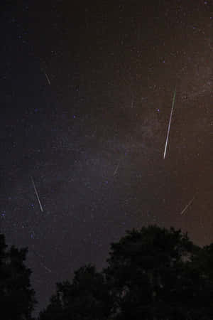 流星雨劃過繁星點點的夜空，下方是黑暗的樹木剪影。 — Oppo Pad 壁紙