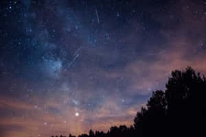 繁星點點的夜空，銀河和流星在樹木剪影上方。 — MacBook Pro M2 壁紙