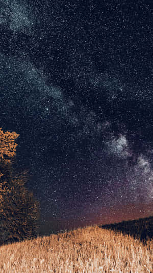 繁星點點的夜空，銀河在金色草地和樹上 — 夜翼 壁紙