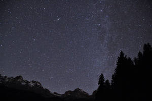 繁星點點的夜空下的雪山和松樹 — 星星 壁紙