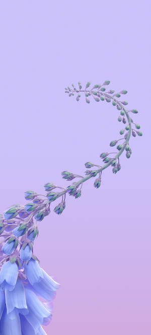 藍鈴花花莖在薰衣草漸變背景上向上彎曲。 — iPhone 17 Pro 壁紙