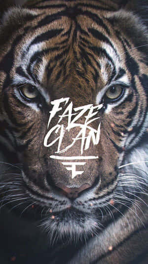 老虎臉部，額頭上疊加FAZE CLAN標誌。 — 老虎 壁紙