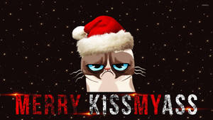 戴聖誕帽的暴躁貓，星空夜下帶有「MERRY KISSMYASS」文字。 — 貓迷因 GIF 壁紙