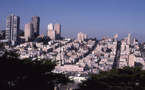 舊金山城市景觀，有山丘和建築物，在晴朗的藍天下。 — 城市風景 壁紙
