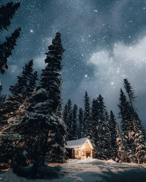 被松樹環繞的星空冬夜下，溫暖發光的雪覆蓋小屋。 — 4:5 壁紙