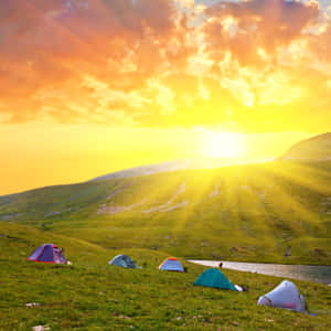 在燦爛的夕陽下，五個色彩繽紛的帳篷搭建在長滿青草的山丘上。 — 露營 壁紙