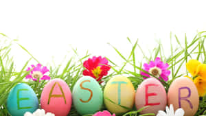 色彩繽紛的復活節彩蛋在草地和花朵中拼出Easter — 春天花朵 壁紙