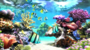 色彩繽紛的熱帶魚在清澈的藍色海水中，於珊瑚礁之間游動。 — 魚 GIF 壁紙