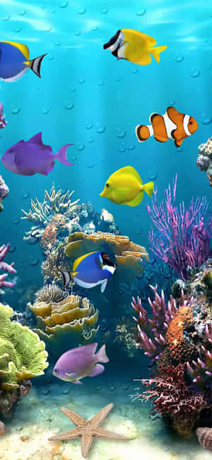 色彩繽紛的熱帶魚和珊瑚礁水下場景，帶有上升的氣泡 — 插畫 iPhone 壁紙