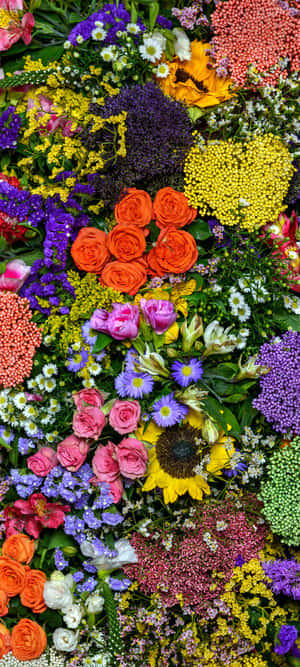 密集排列的色彩繽紛花朵，包括玫瑰、向日葵和雛菊。 — Pixel 11 壁紙