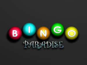 色彩繽紛的賓果球拼出 bingo，下方寫著 paradise。 — 賓果 壁紙