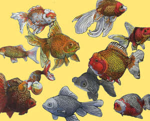 插圖金魚擁有流動的魚鰭，在黃色背景上游動。 — 水族箱 壁紙