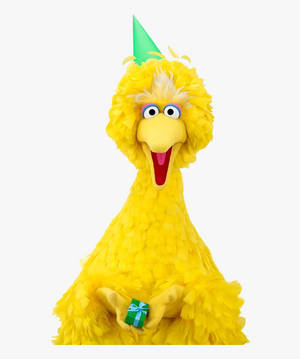 Big Bird 手持一個小綠色禮物，頭戴派對帽。 — Motorola Razr Ultra 2025 壁紙
