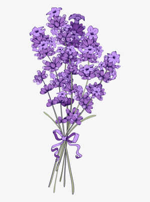花卉背景 — 花卉 壁紙