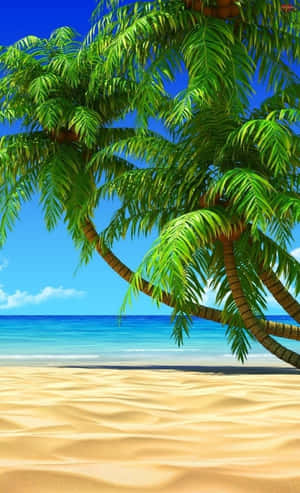 棕櫚樹斜倚在沙灘上，伴隨著碧綠的海洋和清澈的藍天。 — 海灘 壁紙