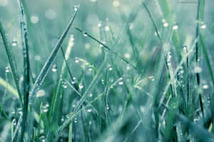 下雨背景 — 下雨 壁紙