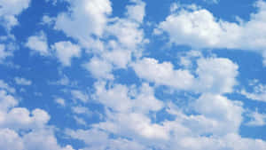 Windows 98 背景 — Windows 98 壁紙