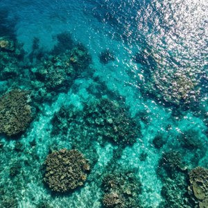 從空中俯瞰藍綠色海洋與珊瑚礁的景觀。 — 海洋 壁紙