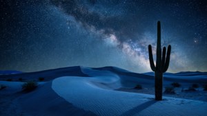 深藍色沙漠景觀，沙丘與仙人掌在星光下矗立。