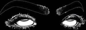 隨意編輯眉毛眼睛滾動眼睛貼睫毛 - Twitter 頭像眼睛，HD PNG 下載