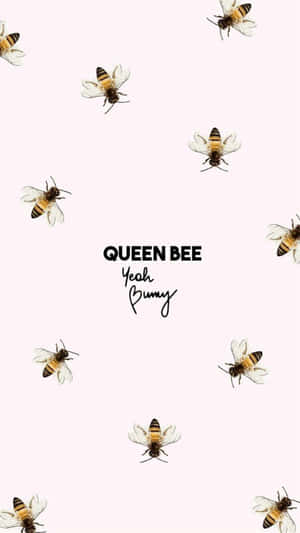 蜜蜂圍繞著粉紅色背景上的文字 queen bee yeah bunny。 — 唯美花卉 壁紙