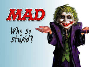 蝙蝠俠的小丑角色，綠色頭髮和紫色西裝，擺姿勢並帶有「Why so stupid?」文字。 — 生氣 壁紙