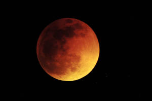一輪紅橙色的月亮主宰著沒有星星的夜空。 — 美麗的滿月 壁紙