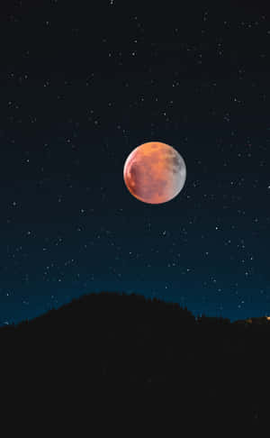 血月在繁星點點的夜空下，從黑暗的森林中升起。 — 月光 壁紙