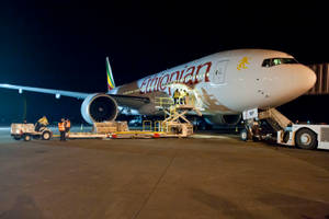 衣索比亞航空飛機在夜間於機場停機坪上裝載貨物。 — 伸展台 壁紙