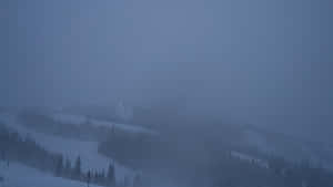 被霧籠罩的雪山斜坡，有常青樹和遠處的滑雪道燈光。 — 白雪公主 壁紙