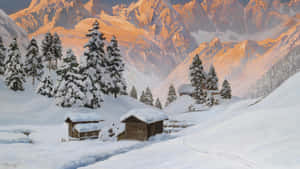 金色夕陽下的雪中山間小屋場景，有松樹和蜿蜒小徑。 — 冬季風景 壁紙