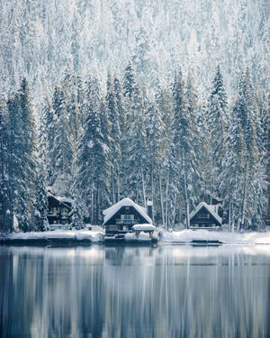 結冰湖邊的雪中小屋，常綠樹木與完美水面倒影。 — 冬季風景 壁紙