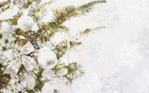 被雪覆蓋的松樹枝上裝飾著銀色飾品和蝴蝶結的節日冬季場景。 — 聖誕樹動畫 壁紙