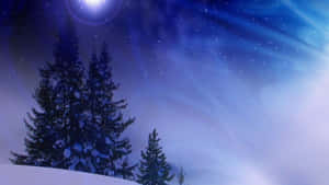 被雪覆蓋的松樹在充滿星星的藍色夜空下，月亮發光。 — 夜空 壁紙