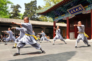 僧侶在中國寺廟庭院前練習武術。 — 運動 壁紙