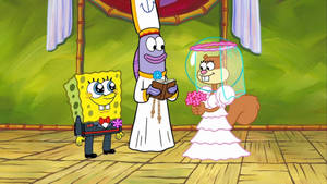 SpongeBob和松鼠新娘在紫色牧師主持下的水下婚禮。