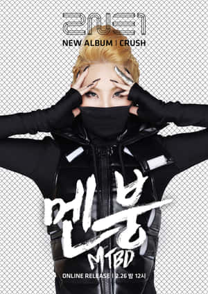 2ne1 圖片 — 2NE1 壁紙